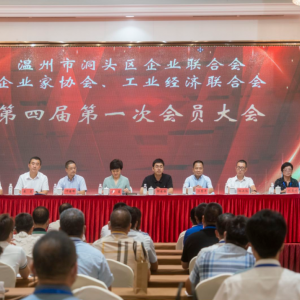区“三会”第四届第一次会员大会召开