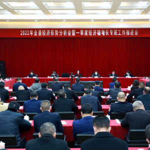 永嘉召开2022年全县经济形势分析会暨一季度经济稳增长专班工作推进会：齐心协力确