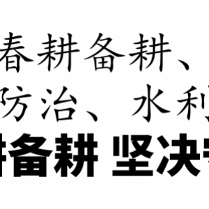 吴呈钱督导重点工作：抓紧抓实春耕备耕，坚决守牢安全底线