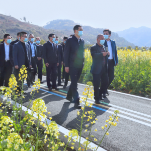 刘小涛在乐清市调研乡村振兴和三防工作：统筹抓好疫情防控和经济社会发展