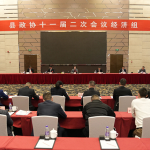 再创永嘉民营经济高质量发展新辉煌！黄慧参加县政协经济组分组讨论