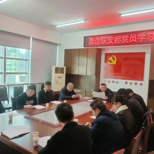 永嘉县“三会”联合支部开展“学思想当先锋 担使命建新功”主题党日活动