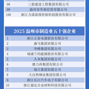2025温州市综合百强企业出炉！永嘉企业6家上榜