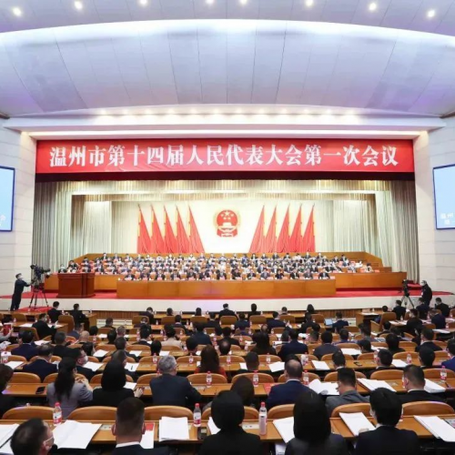 瑞安青年企业家代表尤飞锋在温州“两会”发声，为温州市经济高质量发展建言献策