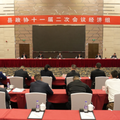 再创永嘉民营经济高质量发展新辉煌！黄慧参加县政协经济组分组讨论