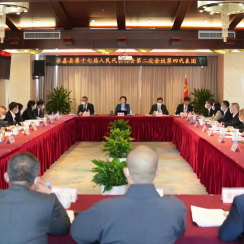 黄慧参加第四代表团审议：打造西部产业新城崛起的主阵地