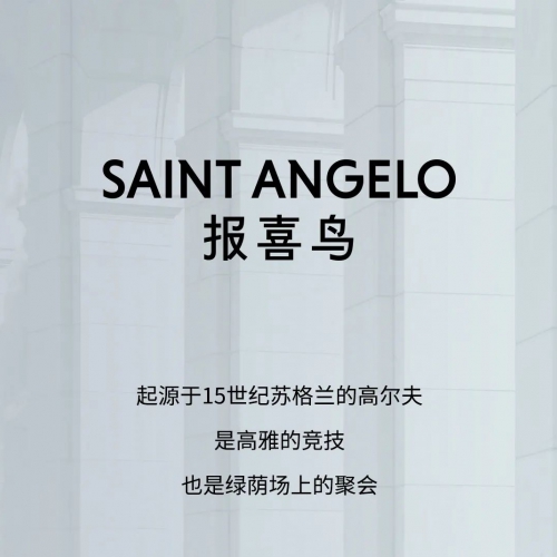 报喜鸟：入局，球场见